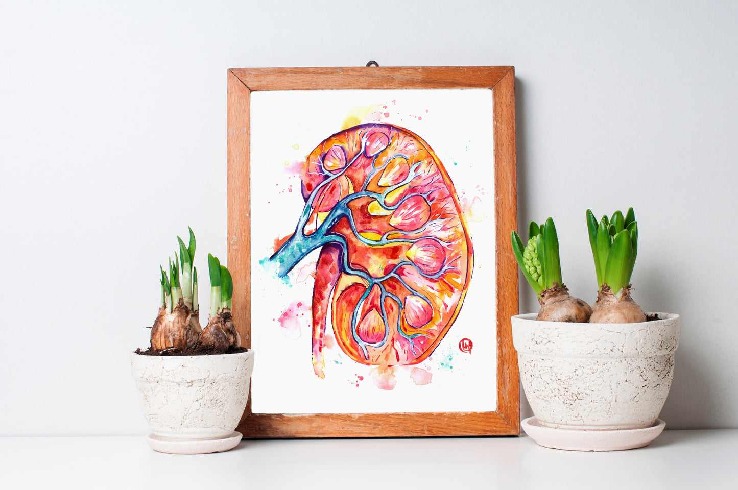 Anatomy Art - Kidney Watercolor Painting