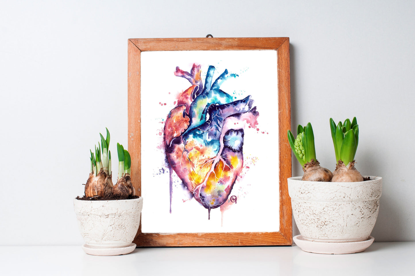Anatomy Art - 1