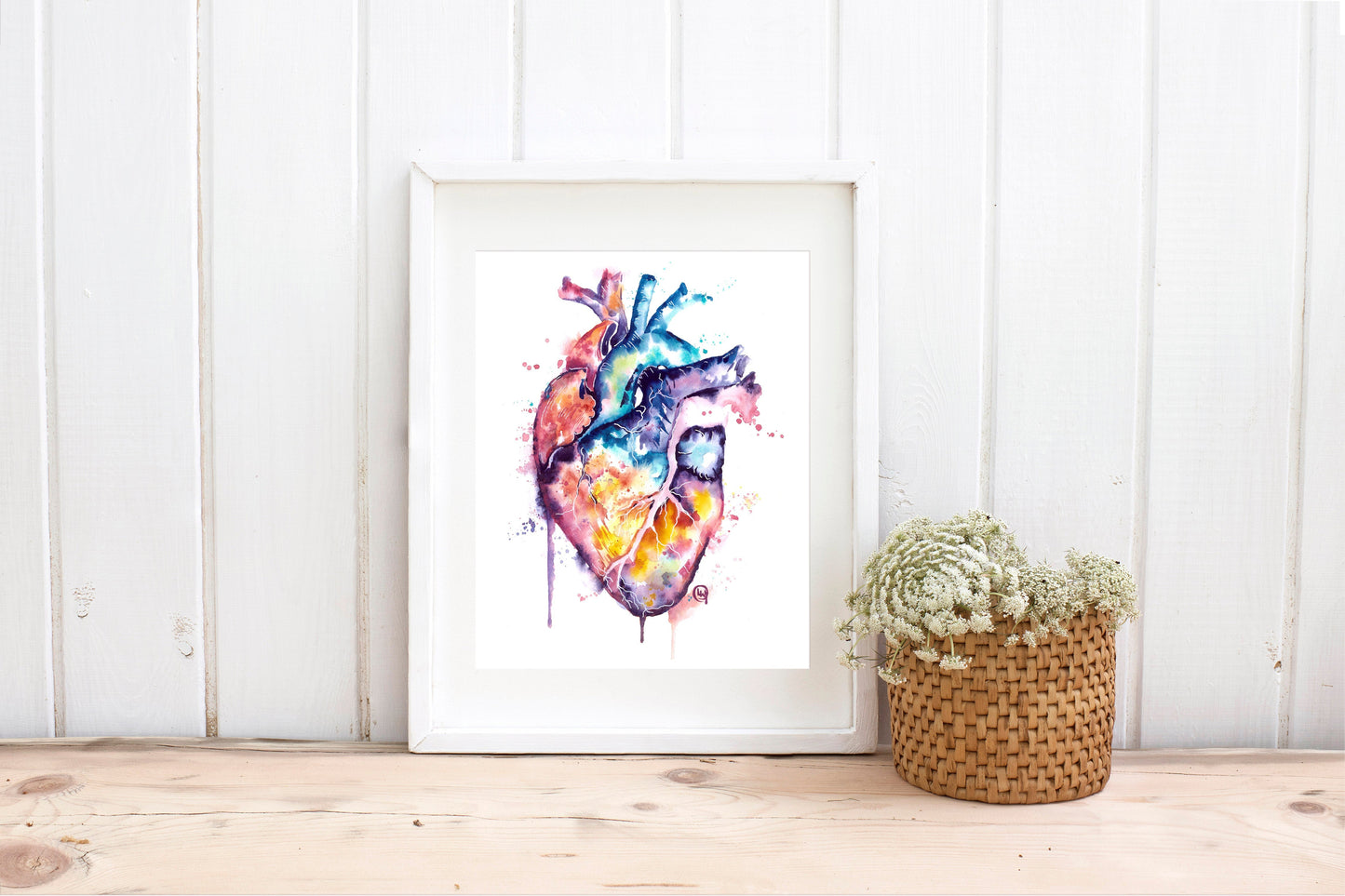 Anatomy Art - 4