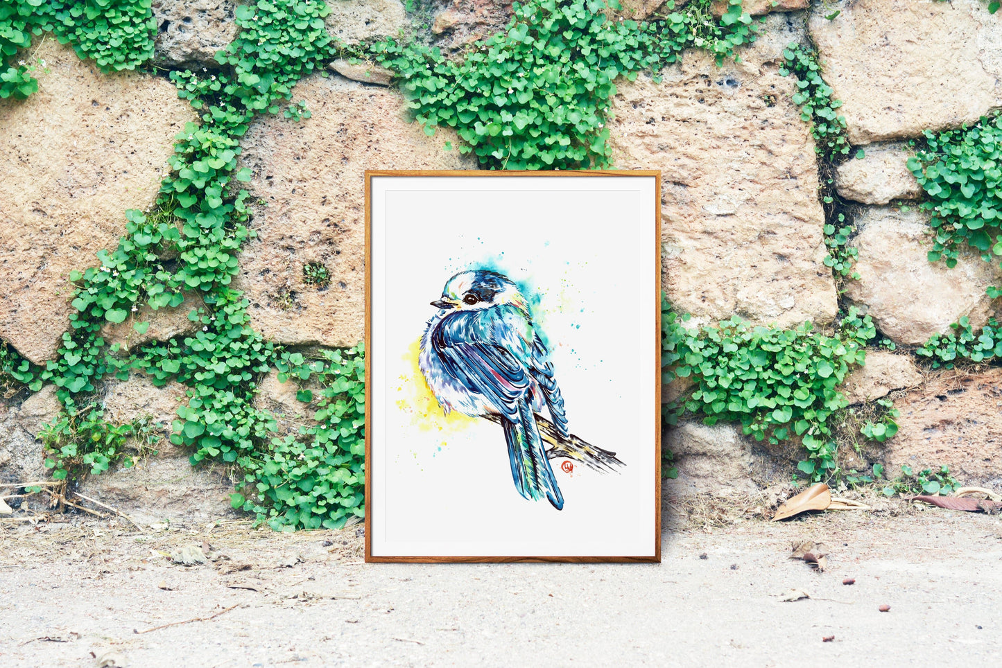 Gray Jay Art - 6