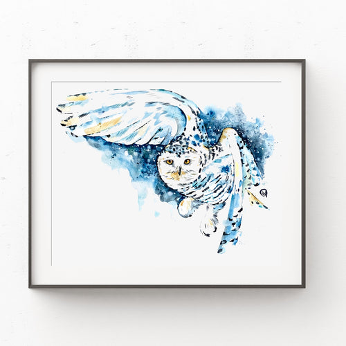 Snowy Owl Art - 0