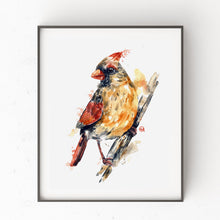 Female Cardinal Painting - 1