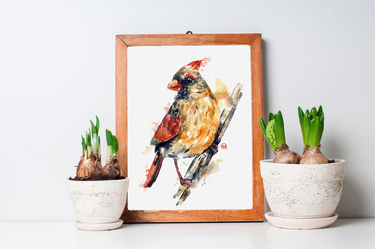 Female Cardinal Painting - 5