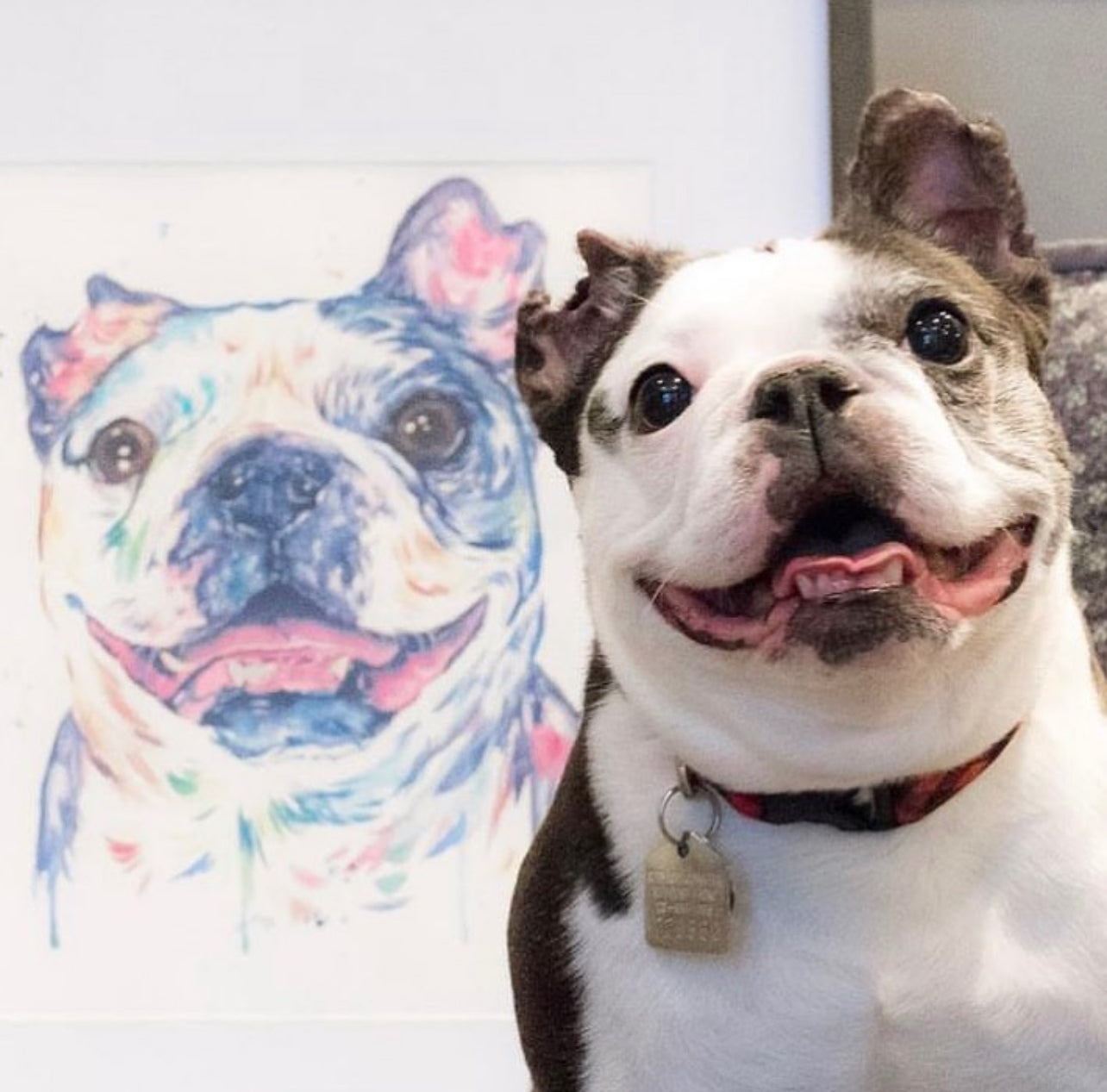 Custom Pet Portraits