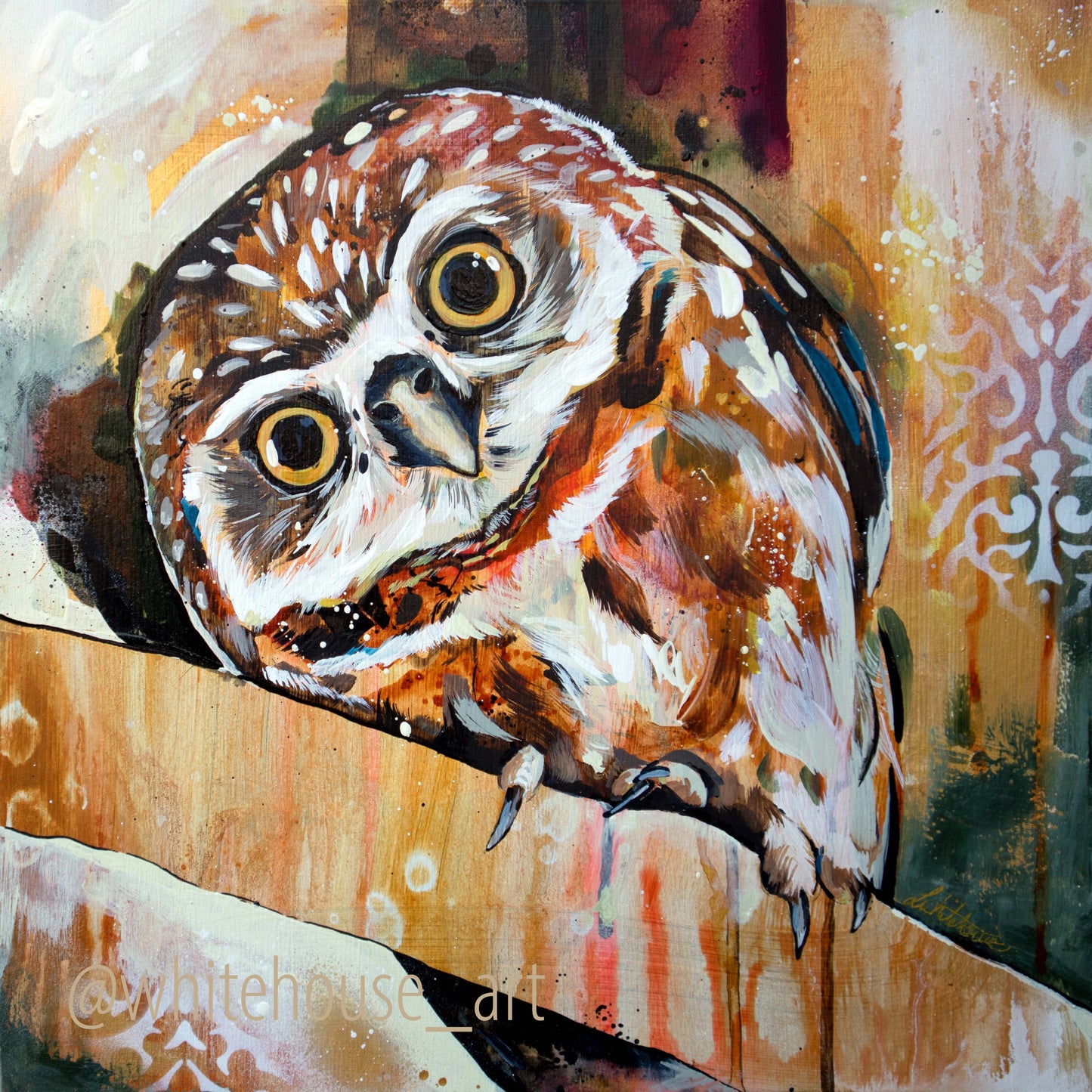 12"x12" Original Painting of an Owl "Pigwidgeon"