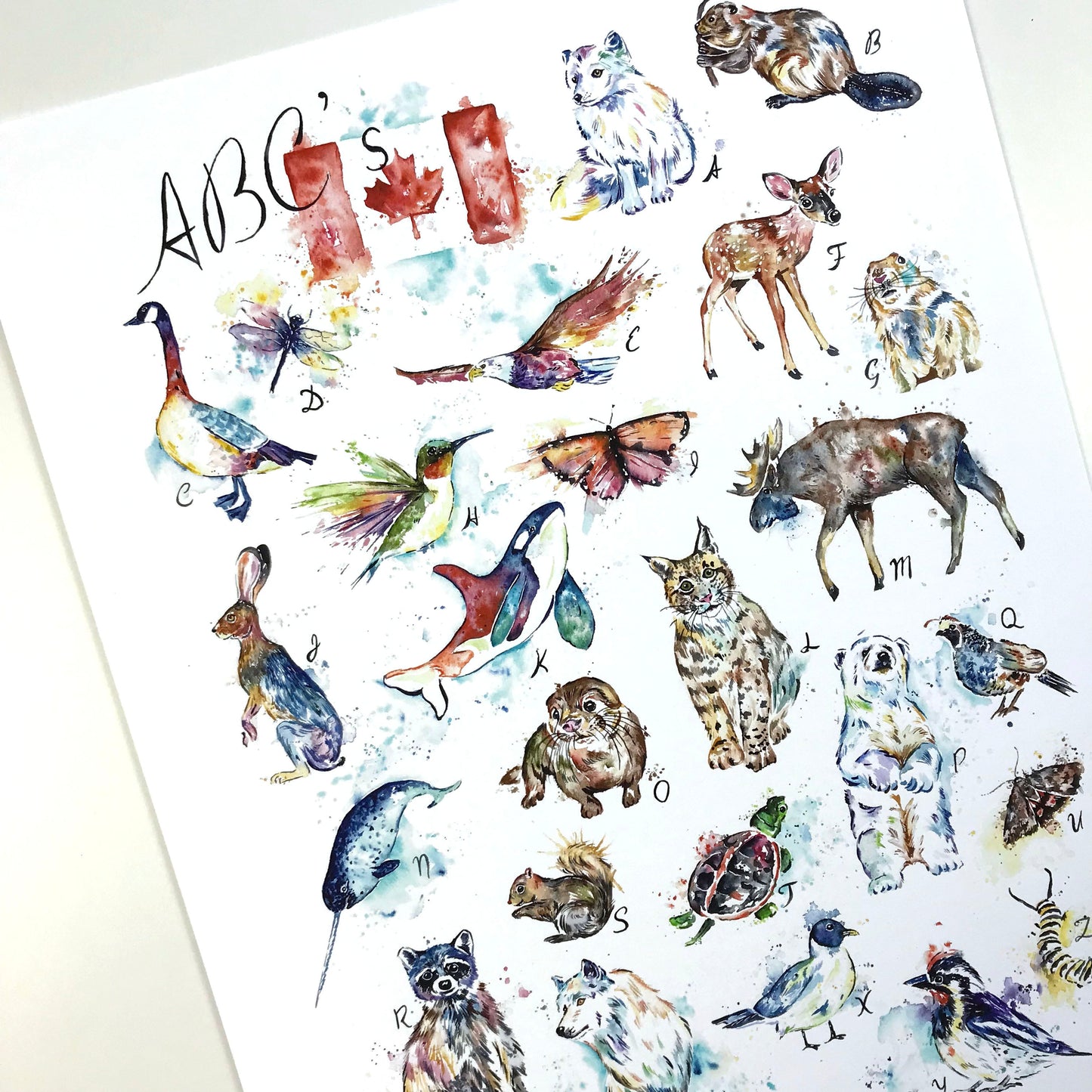 Canadian Wildlife ABCs - 1