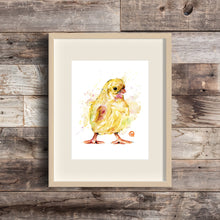 Chick Watercolor Painting Art Print