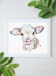 Calf / Baby Cow Art Print - 4