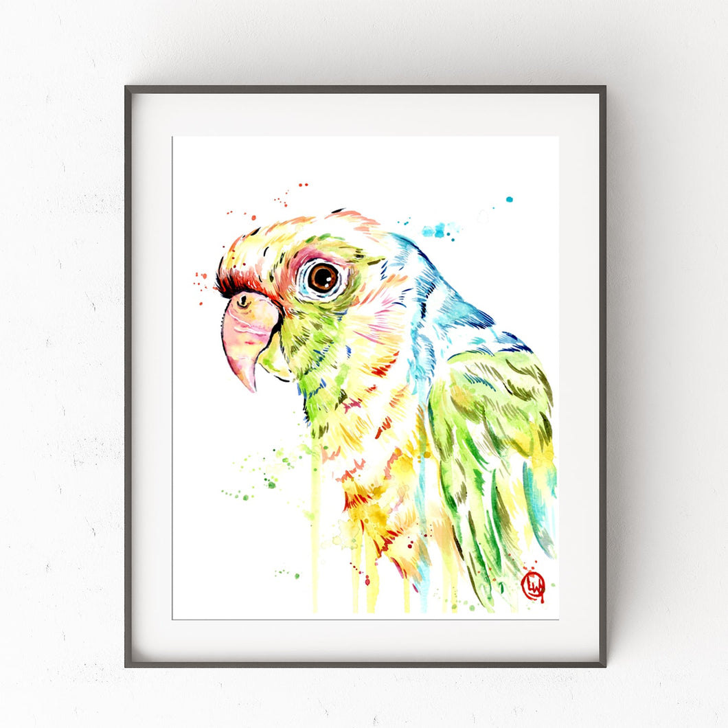 Parrot Painting - 0