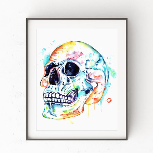 Skull Anatomy Art - 0