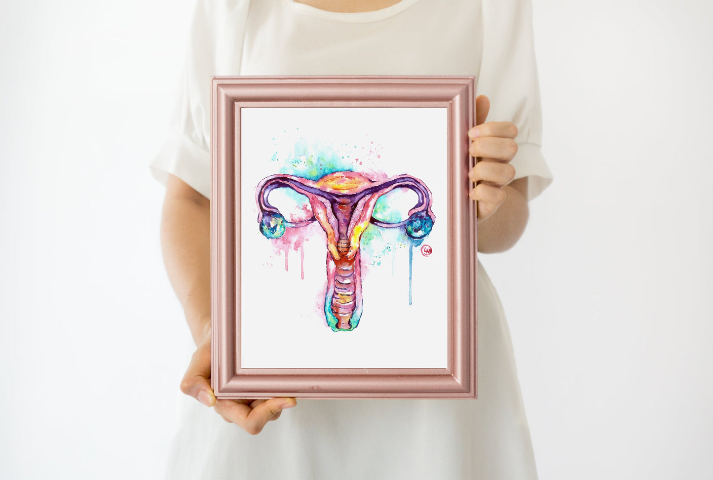 Anatomy Art - Uterus - 2