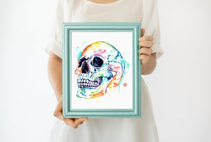 Skull Anatomy Art - 1