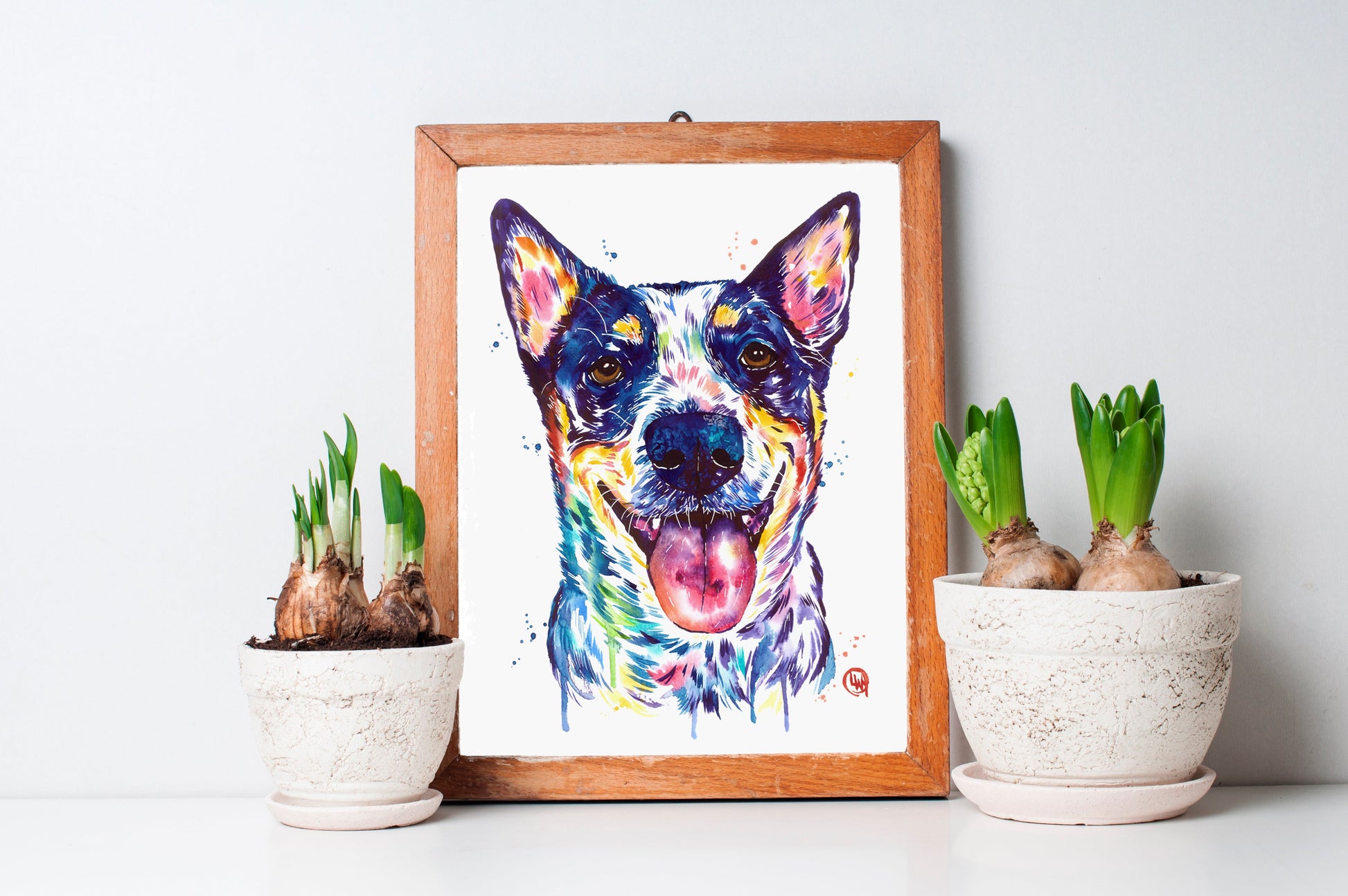 Australian Cattle Dog Art Print - 4