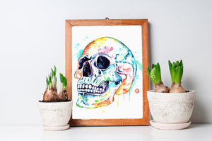 Skull Anatomy Art - 2