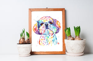 Shih Tzu Watercolor Painting by Lisa Whitehouse
