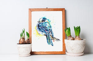 Gray Jay - Whisky Jack - Canada Jay - Colorful Watercolor Painting