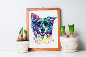 Border Collie Watercolor Dog Painting
