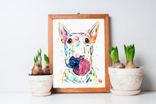 Bull Terrier Portrait - 2