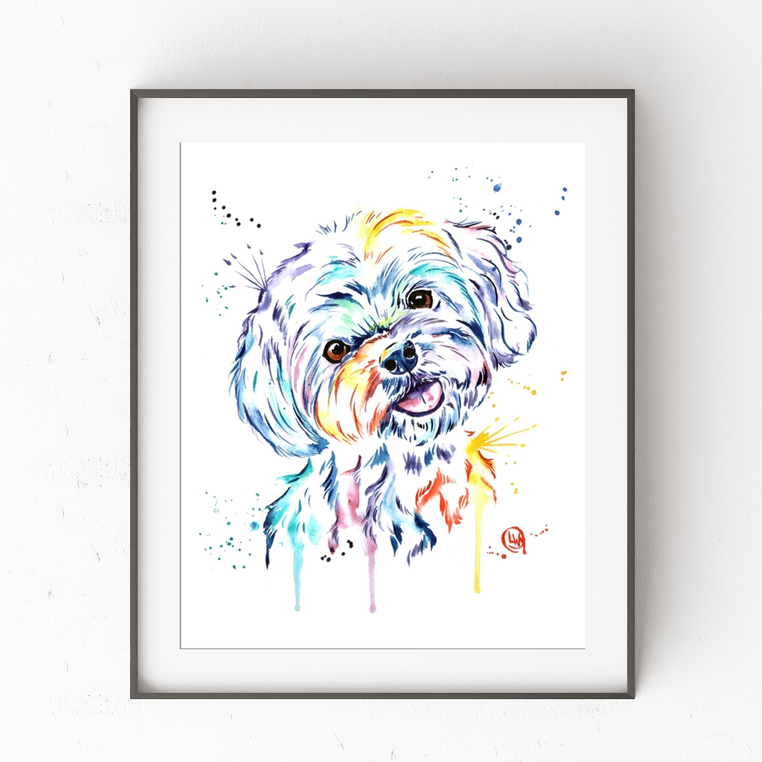 Havanese Painting - 0