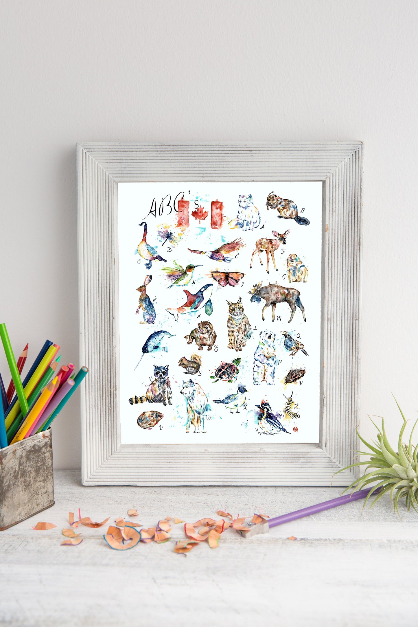 Canadian Wildlife ABCs - 7