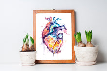 Human Heart Anatomical Heart Watercolor Painting
