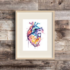 Human Heart Anatomical Heart Watercolor Painting