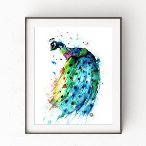 Peacock Colorful Watercolor Painting