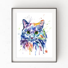 Colorful Cat Pet Portrait