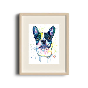 French Bull Dog Boston Terrier Art - 4