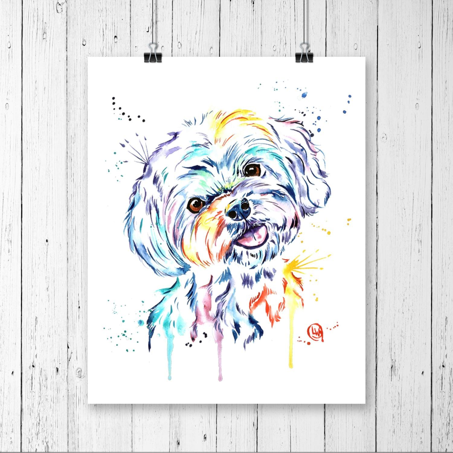 Havanese Painting - 1