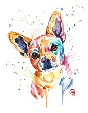Chihuahua Pet Portrait - 2