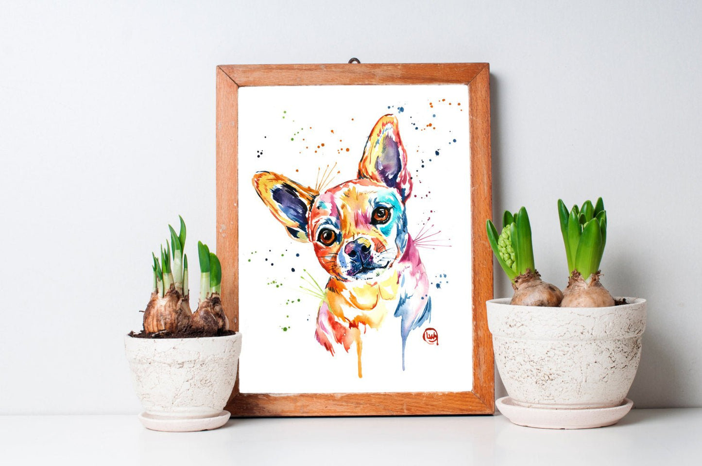 Chihuahua Pet Portrait - 3