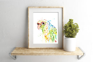 Parrot Painting - 1
