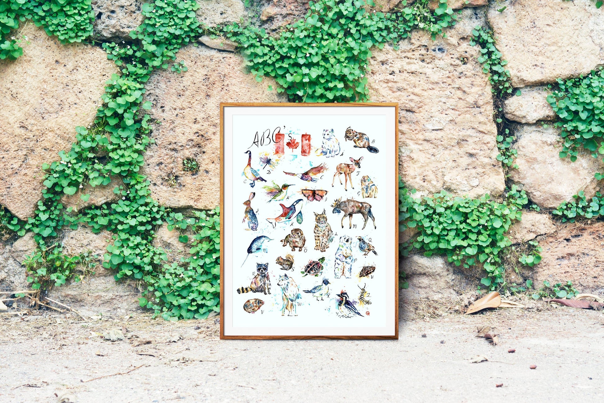 Canadian Wildlife ABCs - 10