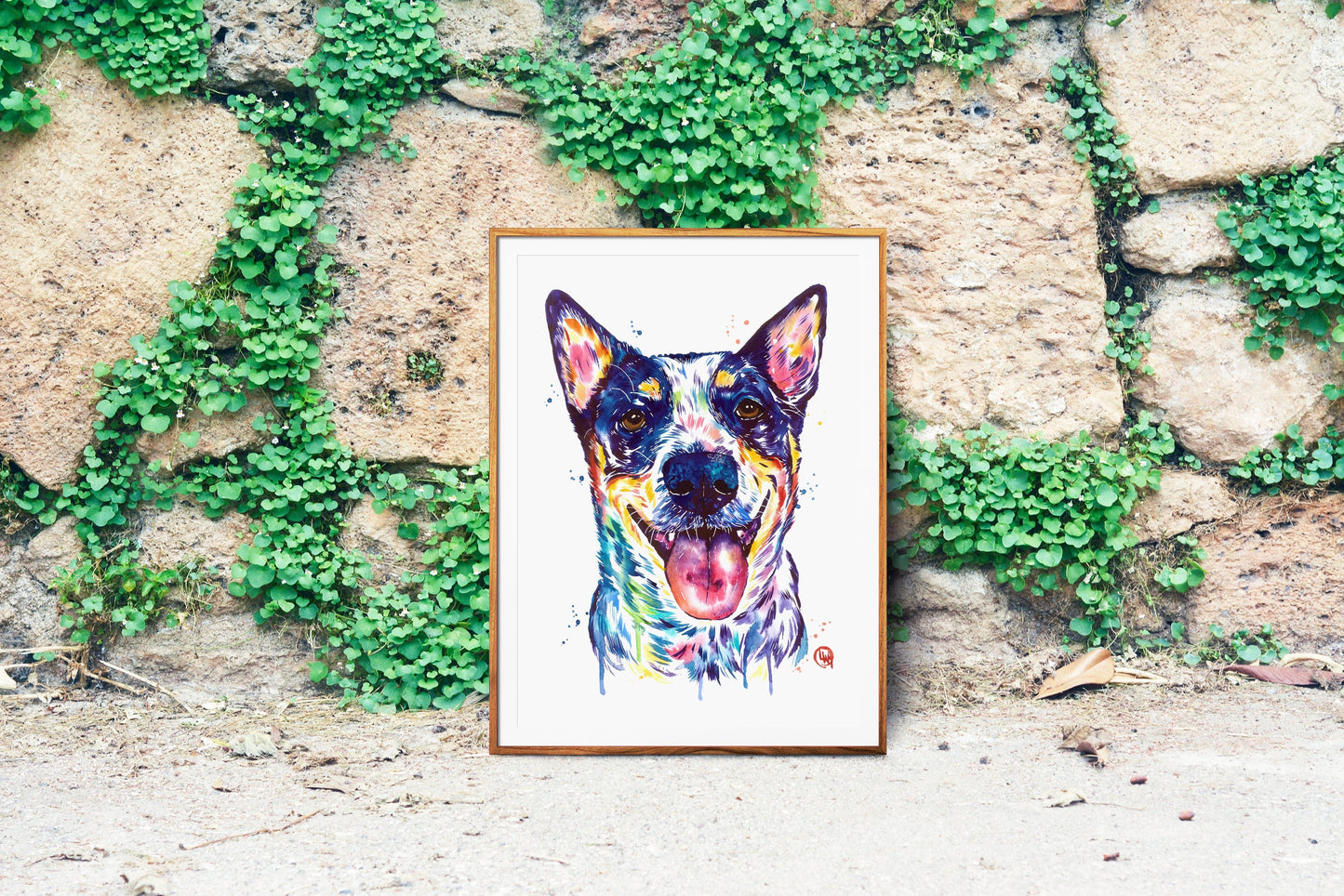 Australian Cattle Dog Art Print - 6