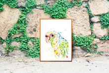 Parrot Watercolor Painting