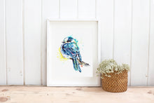 Gray Jay - Whisky Jack - Canada Jay - Colorful Watercolor Painting